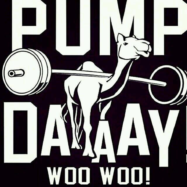 FitnessWheys's tweet photo. What day is it?!? 🐪 http://t.co/ZPSzB1qN7D