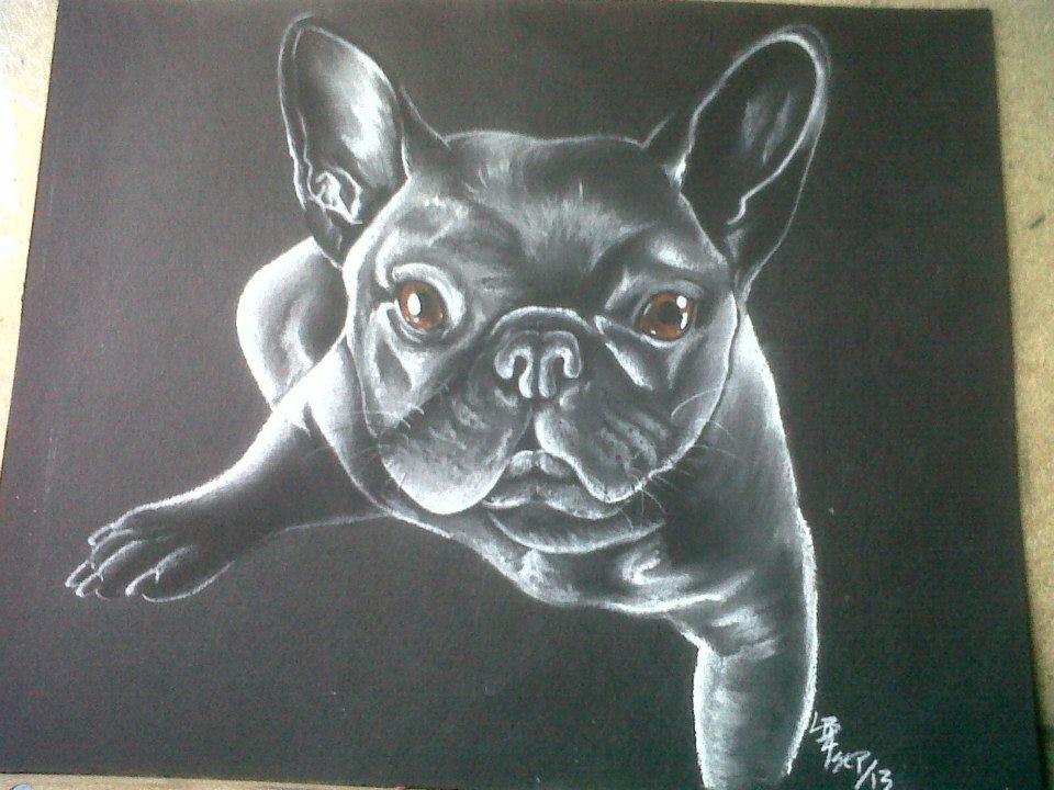 sparklicharli's tweet photo. Dog portrait for a lady's lost pup. http://t.co/XwLHk4Hm2Z