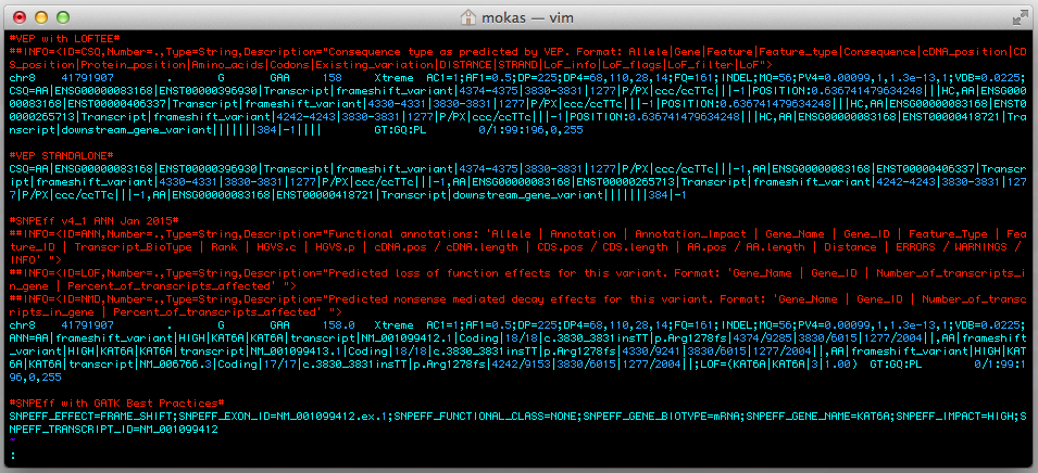 Mo Rahman🍰 tweet media