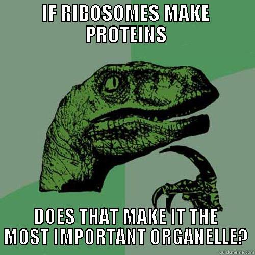 good_vibosomes's tweet photo. http://t.co/yOxZnaH0Wa