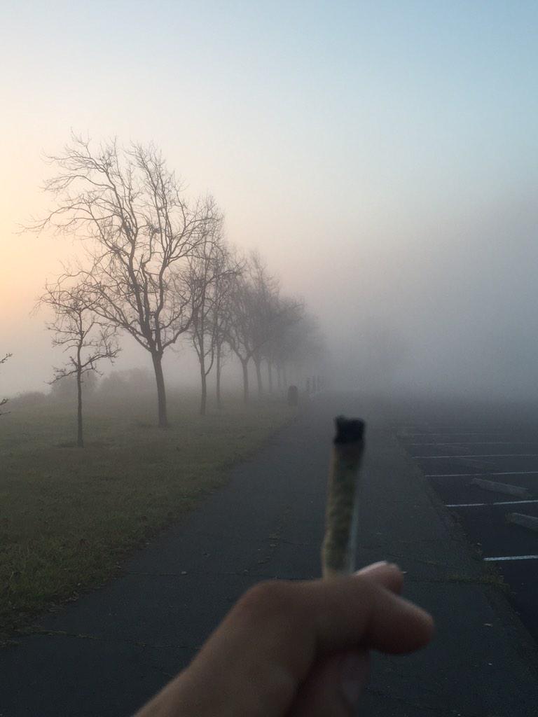 yehmama23's tweet photo. #fog #joints #oakland http://t.co/ibwTWufpvK
