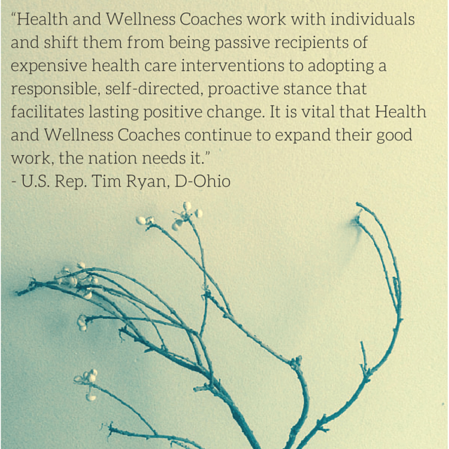 It's National Health Coach Week! #iinhealthcoach #nationalhealthcoachweek #healthcoachweek #healthcoach #PlantBased