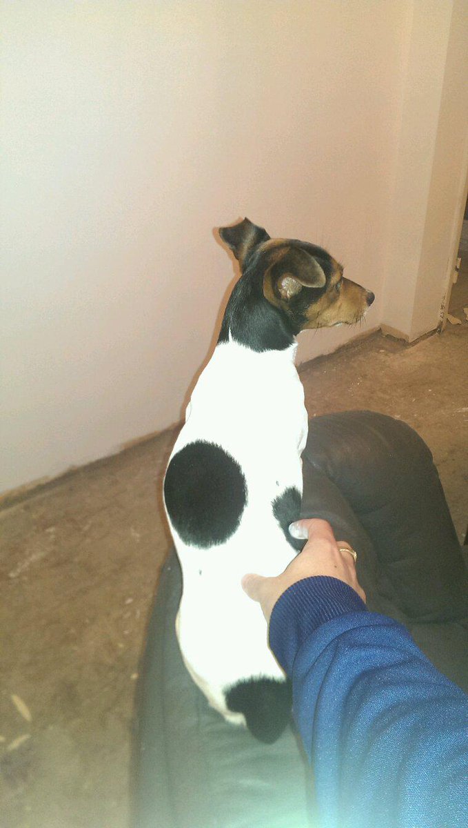 Chris Newsham tweet media