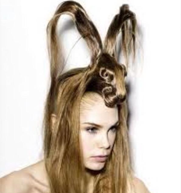 RunRabbitApprl's tweet image. Not Run Rabbit, but Hair Rabbit