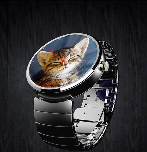 If you want 24 cats to accompany your wrist throughout the day, download our Timeow watch face for Android Wear! htt…