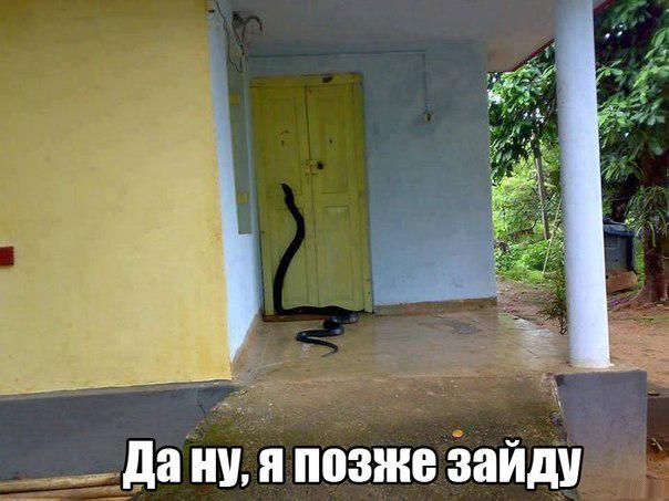 nesteruk_dima's tweet photo. http://t.co/IZehds8Bco