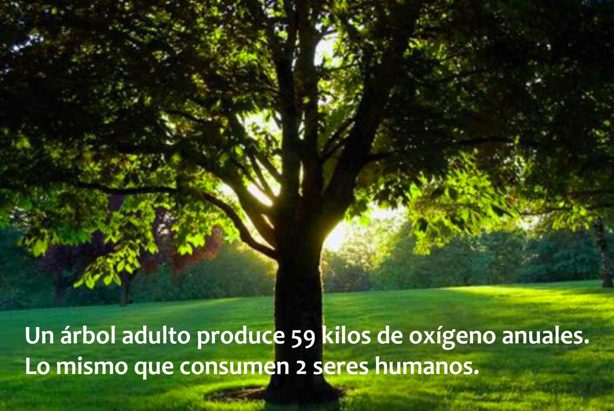 natupla's tweet photo. http://t.co/fMLjN2Tl7D