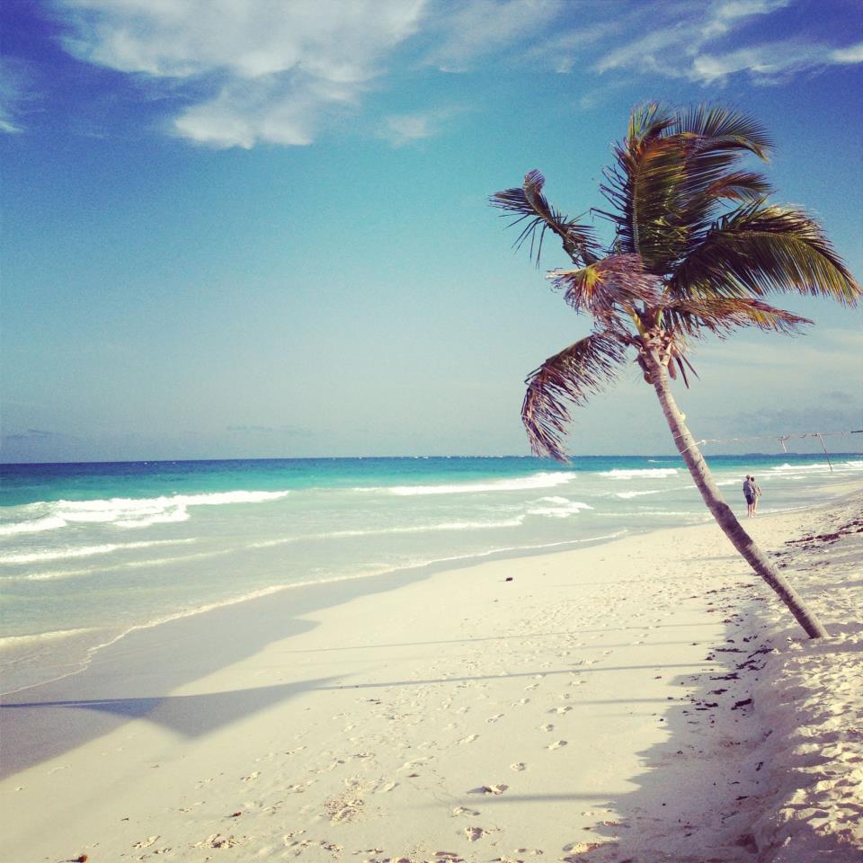 TheBeachTulum's tweet photo. When are you coming home! 
#Tulumlifeexperience #Beachhoteltulum #Boutiquehotelmexico #Beachviewnonstop http://t.co/ak06lRh9i6