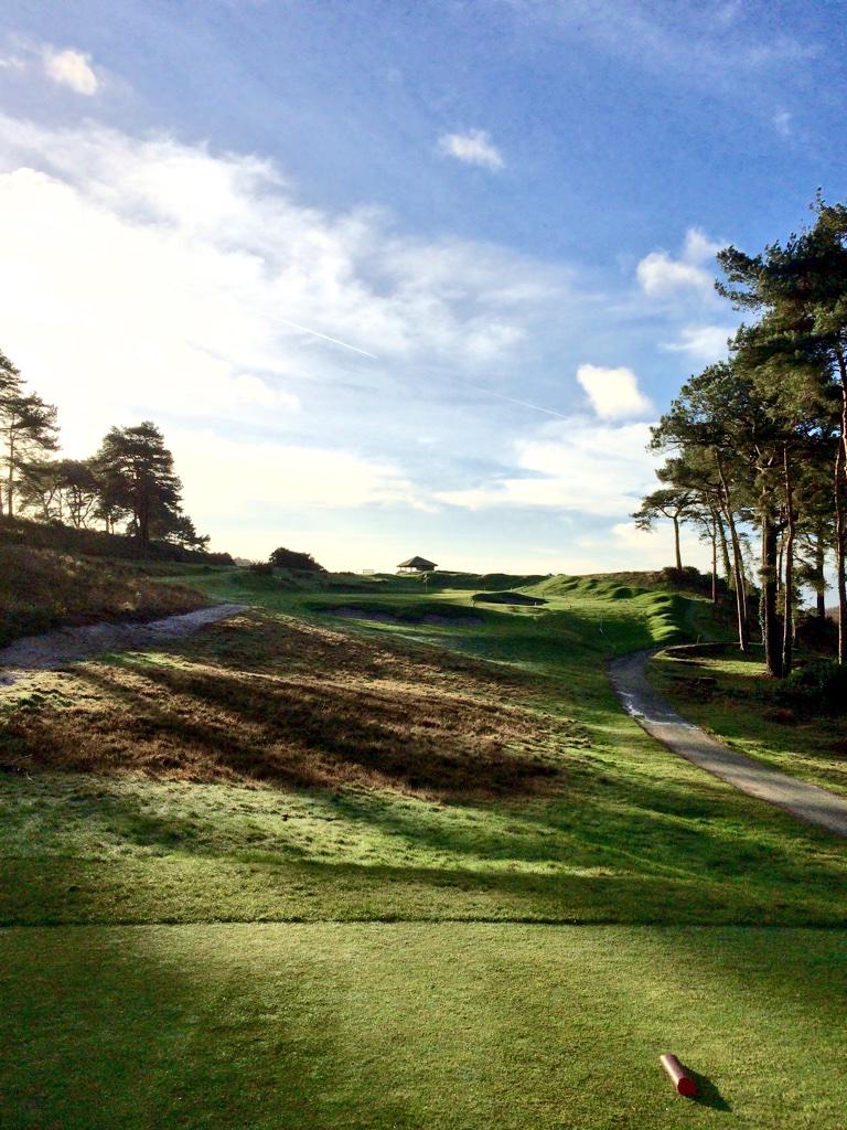 Not quite finished yet but here's a before in 2012 and after 2015 of our new 7th hole #itsallaboutthelight