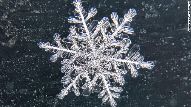 DigitalBiscuits's tweet photo. Beautiful - snowflakes magnified 21 times http://t.co/i3oIZc9TPc http://t.co/9had39yIBn