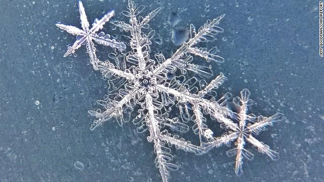 DigitalBiscuits's tweet photo. Beautiful - snowflakes magnified 21 times http://t.co/i3oIZc9TPc http://t.co/9had39yIBn