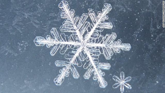 DigitalBiscuits's tweet photo. Beautiful - snowflakes magnified 21 times http://t.co/i3oIZc9TPc http://t.co/9had39yIBn