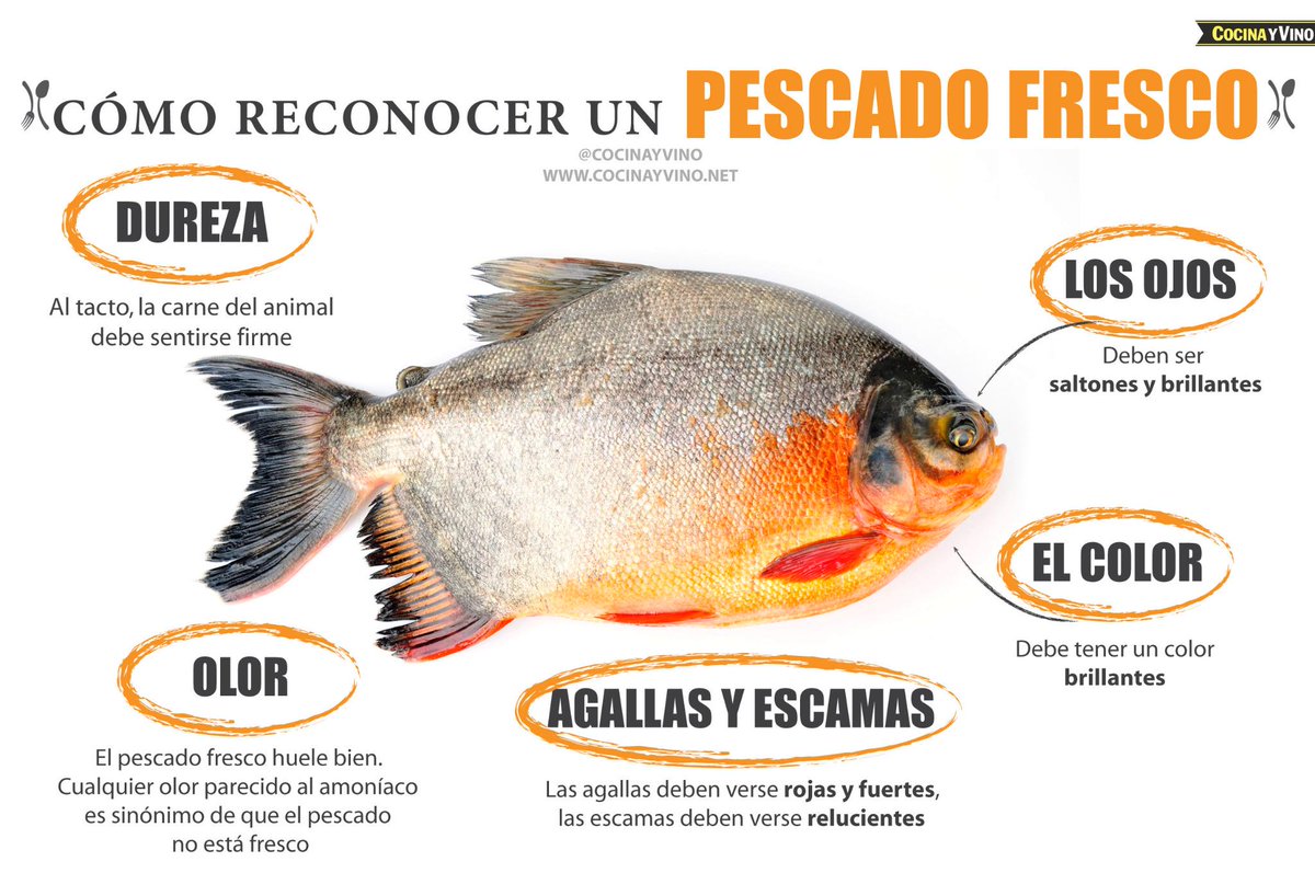 Aprende a reconocer pescado fresco y de calidad, News