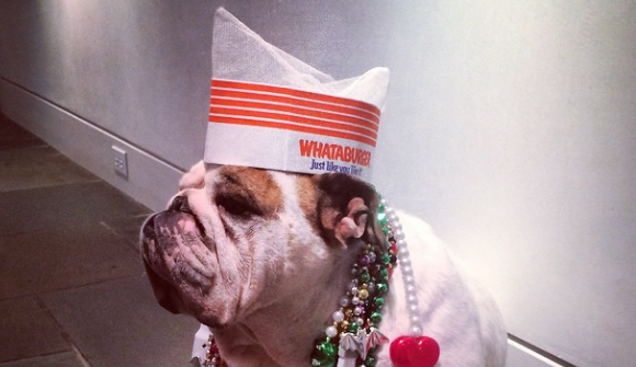 National Dress Your Pet Day is so amazing he can hardly hold in the excitement.