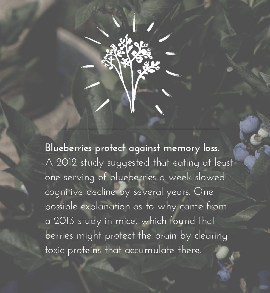 BlueberryLocal tweet picture