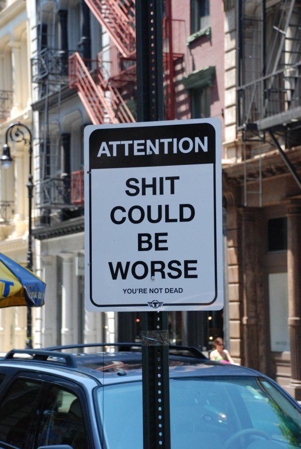theCHIVE tweet picture