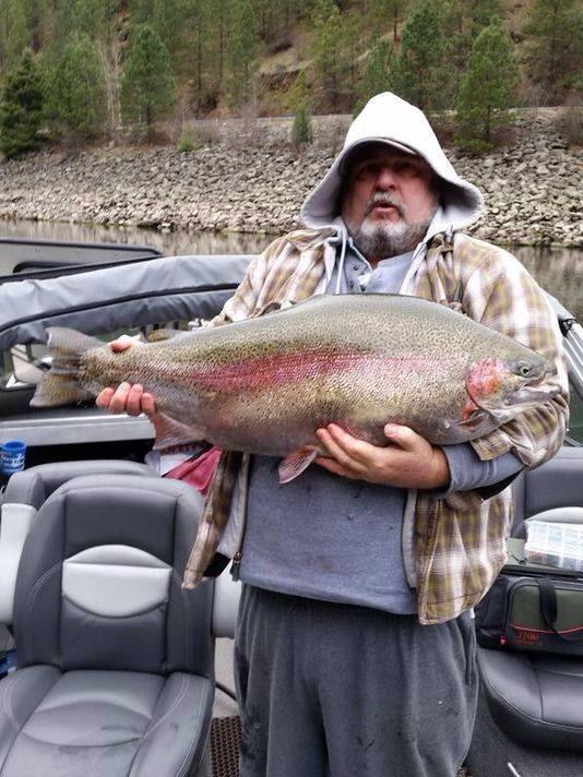 thefishinglife's tweet image. #triploid#idaho
