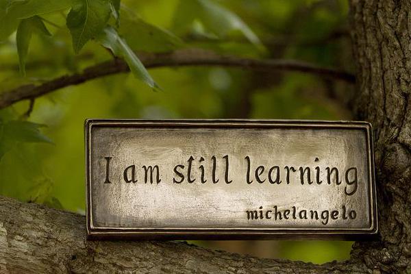AnaRubioSerrano's tweet photo. RT@VicenteCampos @LHTL_MOOC: Legend has it that Michelangelo said that at age 87. #nevertooold #learning #LH2L2 ” http://t.co/PxO4z5kynr