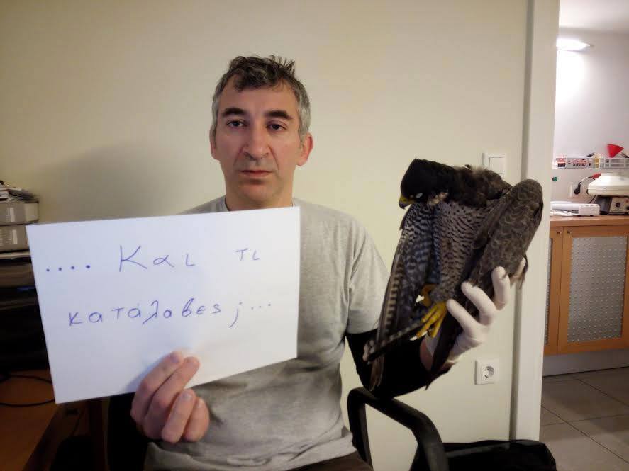 Gath___'s tweet photo. Ο κτηνίατρος Μανώλης Βορρίσης με έναν πυροβολημένο Πετρίτη στα χέρια θέτει ένα ερώτημα... http://t.co/DYxYK6mjnL