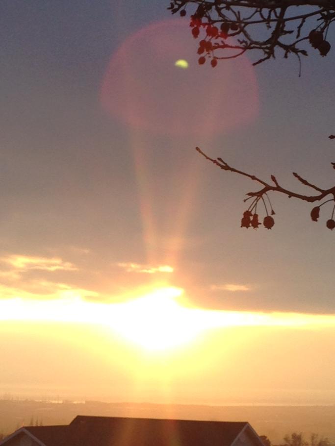 BIG_BOTT's tweet photo. Life is beautiful just take a moment and look #look😎 http://t.co/AoiPBHbMMl