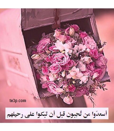 3e3bb2085744459's tweet photo. http://t.co/pVtzShF0kZ