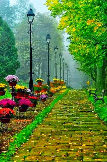 Boedi Prayitno (@prayitno72) on Twitter photo 