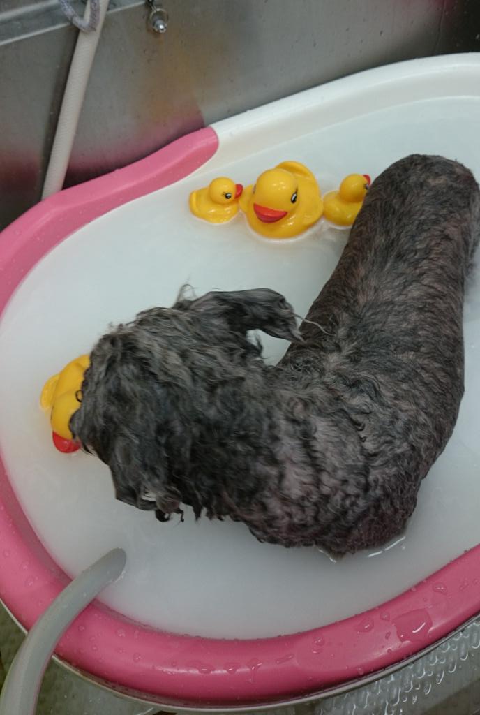 顔…(*゜ー゜)笑
イメチェンするー♪