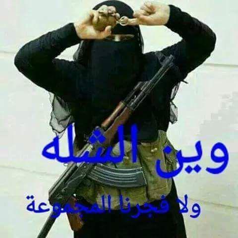 وينكم سكتين