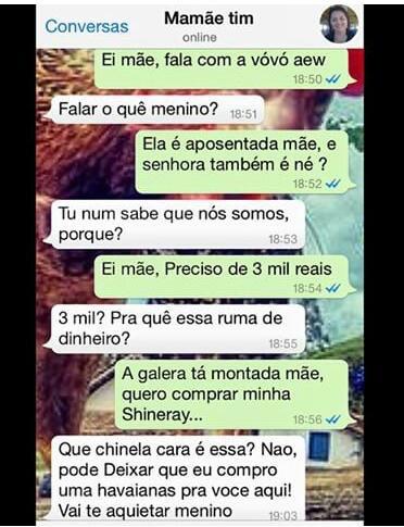 vantcha 🦁 tweet media