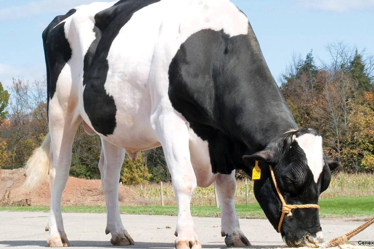 Wall Street Journal (@WSJ) | Twitter