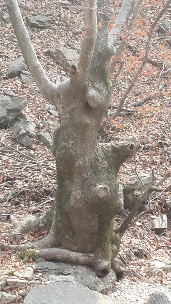 ilbe.com/3554048297ㅣㅣ ㅣ@ㅣcoreacdy 1444ㄱㄱㄱ기ㅑㄱㄱㅋ71174+ㅣㅣ2