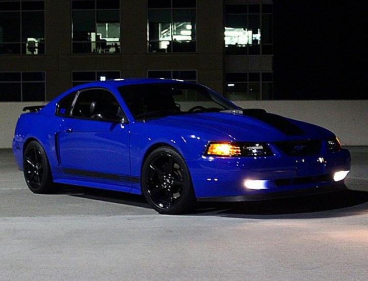 Muscle Cars tweet media