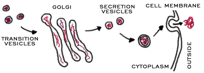 GolgiDigger's tweet photo. me at work #cellfie #cellection15b http://t.co/S5MP2NFfze