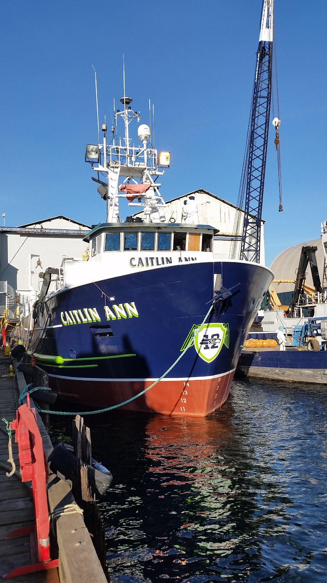 FishEngineer1's tweet image. I Re-painted the Caitlin Ann in Seahawks colors added a 12thman shield guess I'm IN #Seahawks #IMIN #12thman #GoHawks