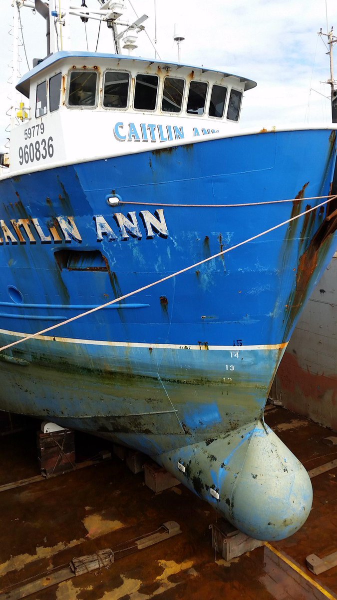 FishEngineer1's tweet image. I Re-painted the Caitlin Ann in Seahawks colors added a 12thman shield guess I'm IN #Seahawks #IMIN #12thman #GoHawks