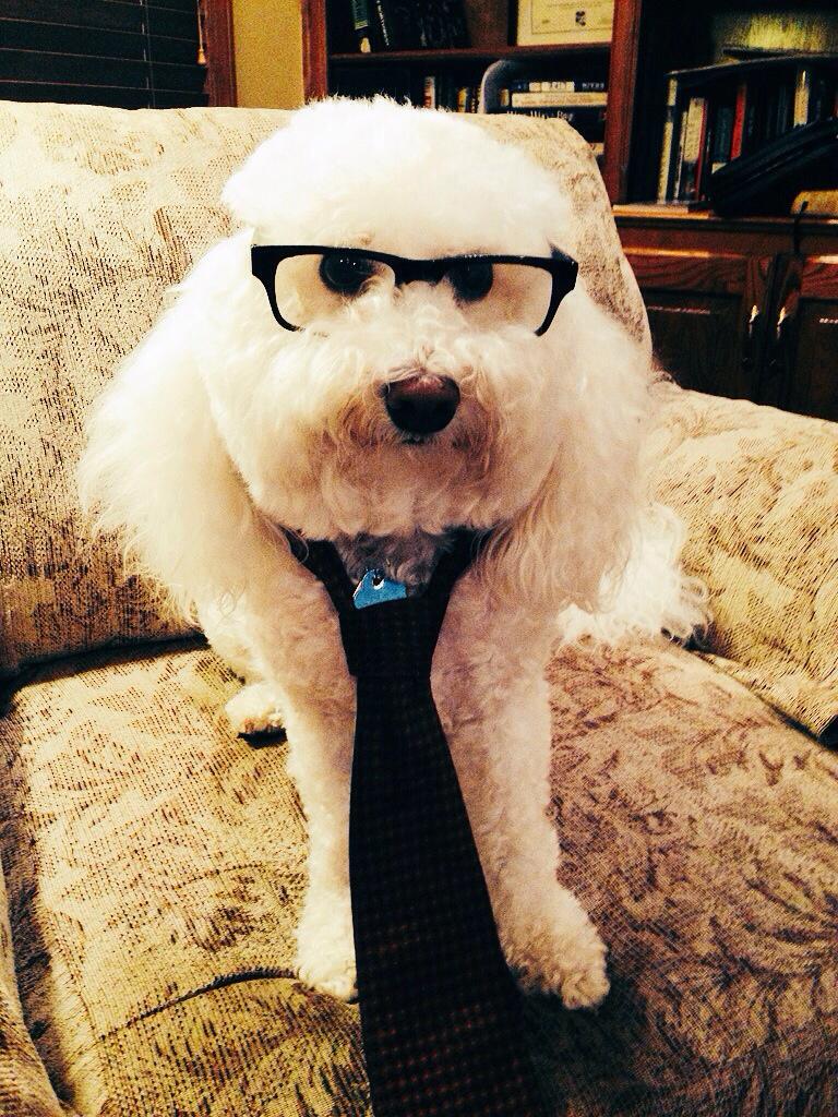 JasonHouck's tweet image. Ha! RT @Mr_Woofy: @StephenCaggiano I&apos;m pawdicting #woofoutwednesday will take off in 2015. Woof! #HashChat