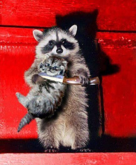 GoodCrafterHD (@hd_dome) on Twitter photo 