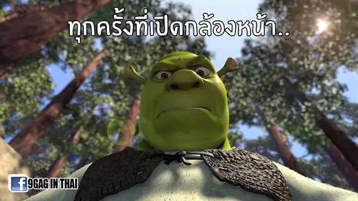 Ph0enixsk tweet picture