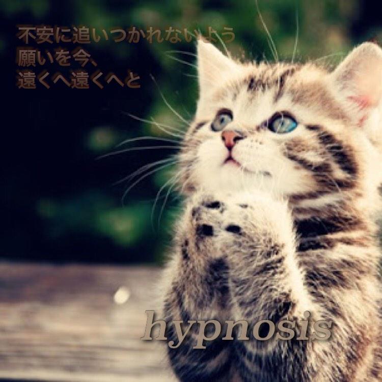 『hypnosis』

不安に追いつかれないよう
願いを今、
遠くへ遠くへと

#ネコかわいい♡
#ミスチル好きな人RT
