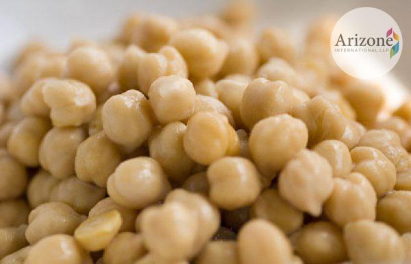 arizonein's tweet photo. Like any other #Food, #Chickpea also have #SideEffects like #Benefits.
#Chana #KabuliChana
http://t.co/UqKeSSQMUJ http://t.co/UOlVo22kWc