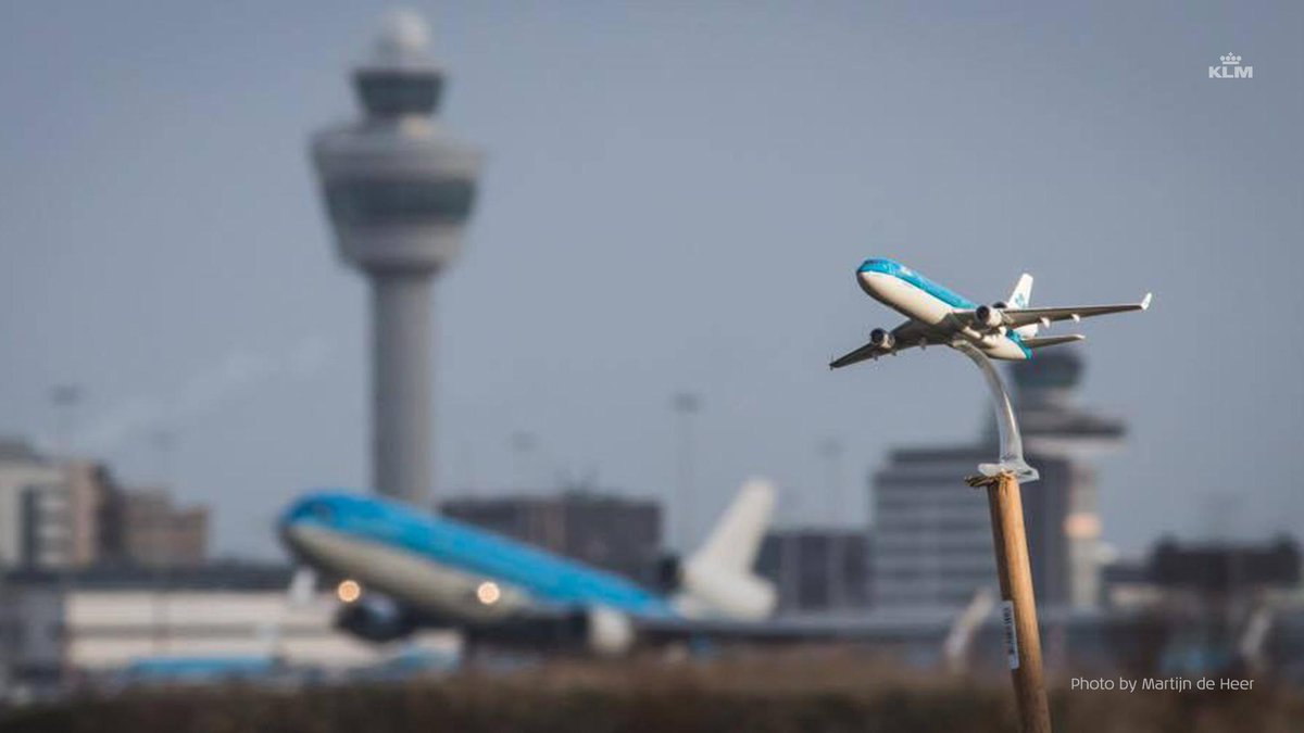 KLM tweet media