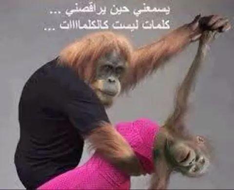 ExAshraf tweet picture