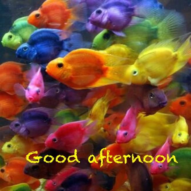 Gurmeetramrahim's tweet photo. #iSupportMSG God bless you all http://t.co/omj6QhfsD1