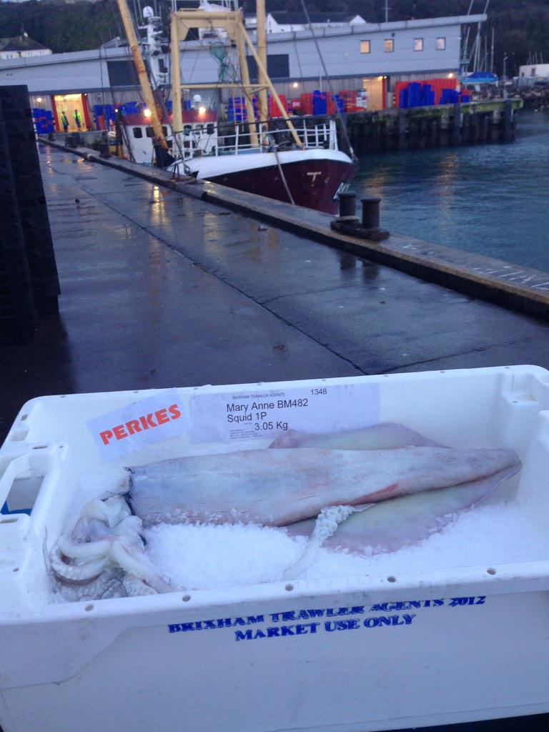 dale timblin tweet media