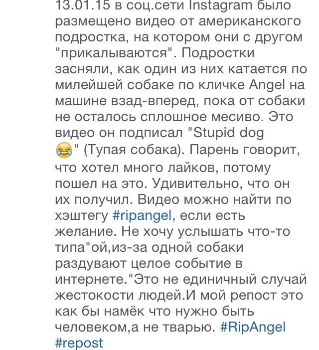 NataliaChet23's tweet photo. Твари!!!! #ripangel http://t.co/kXqy3Prhvo