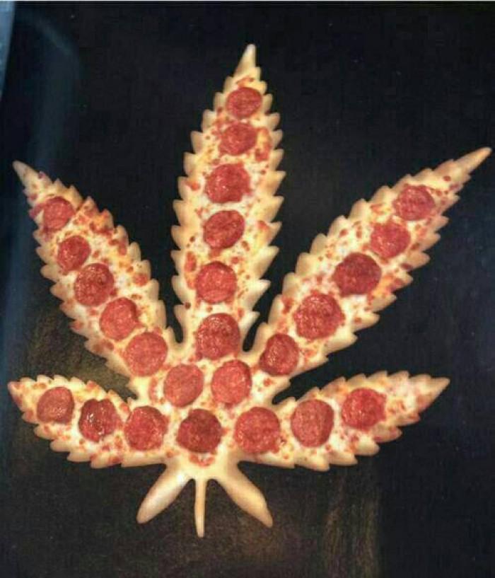 GrowLandiaOFI's tweet photo. Bob apetit !! ... "Disfrútalo en HighPhotos --> - http://t.co/bfqKDwGGF5 http://t.co/TLhaWg6H4H