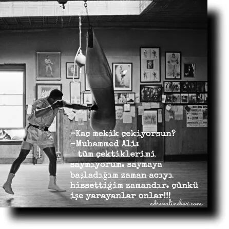 sporsalbilgiler's tweet photo. Muhammed Ali http://t.co/0MqrDesKpf
