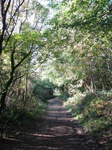 HeadleyHills's tweet photo. Headley Heath is a few minutes from Headley Hills.  Come &amp; join us for lunch or afternoon tea by the fire? http://t.co/7BBTRrg0Np