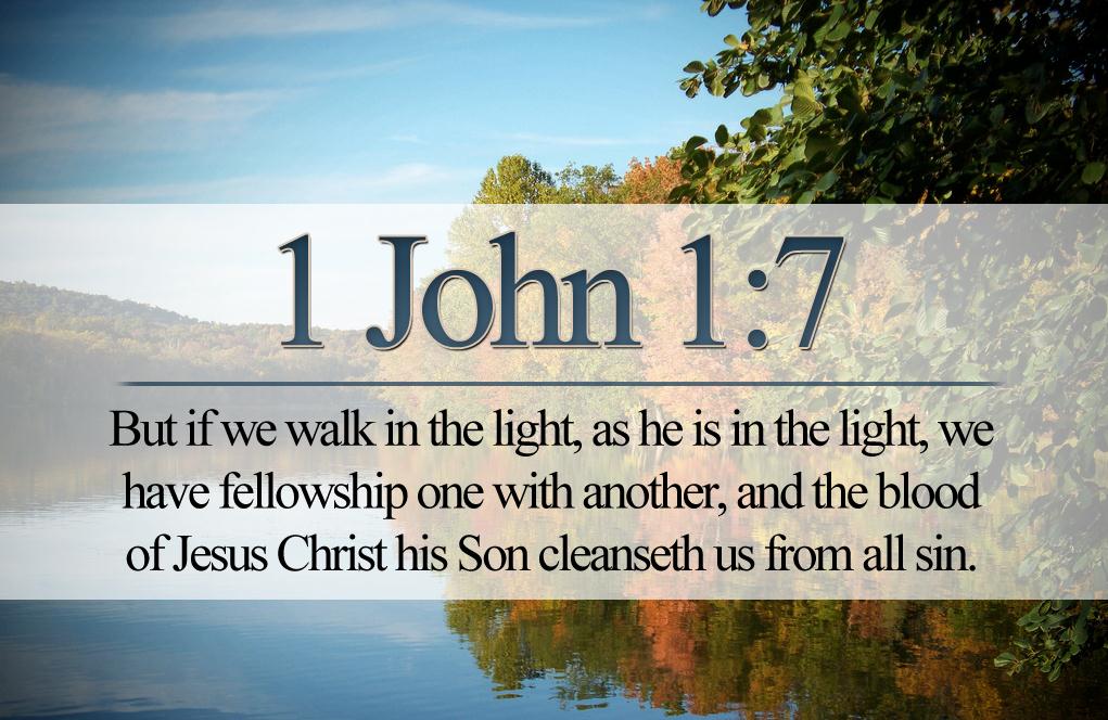 IamSecondtoGod's tweet photo. But if we walk in the light, as he is in the light, we have fellowship with one another...1 John 1:7 #bibleverse http://t.co/0ofjhhToFq