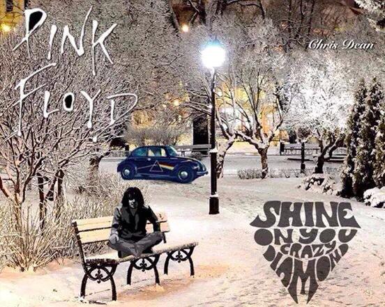 Pink Floyd - Steve®™💎 tweet media